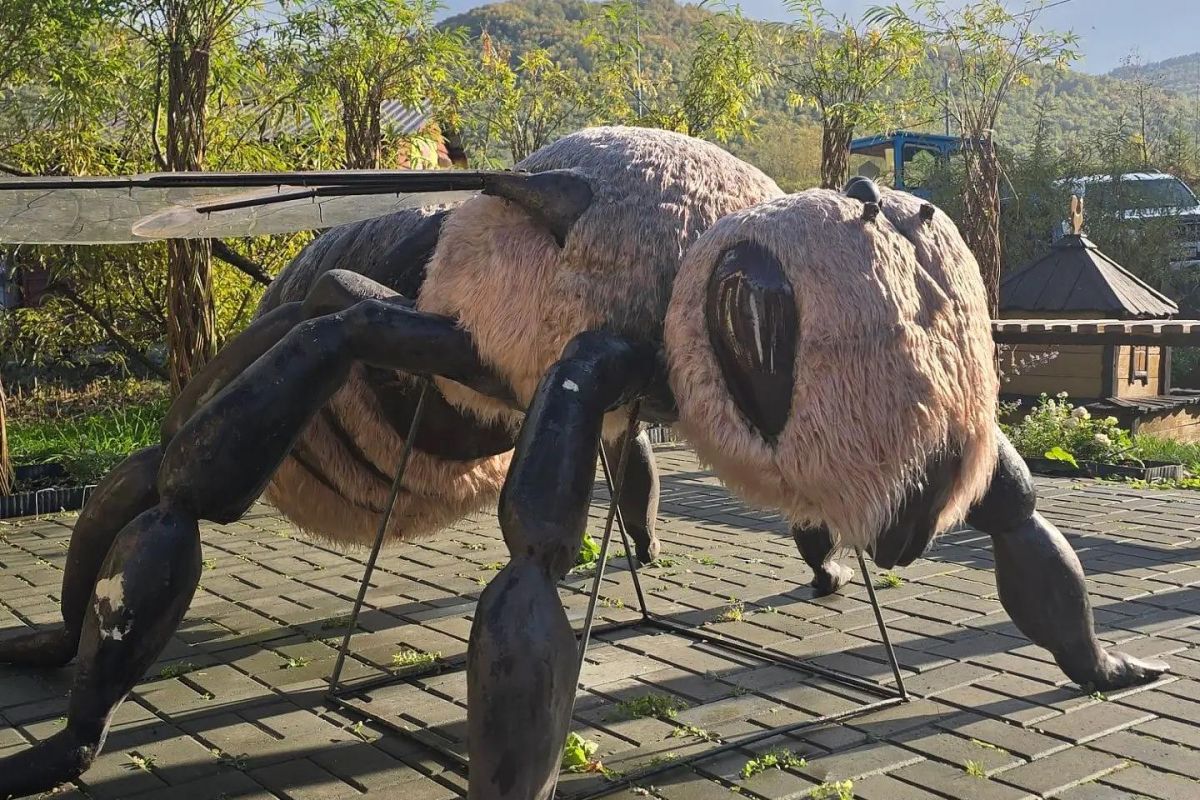 Пасека и зоопарк алтайских животных